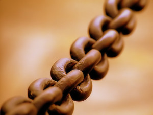 broad_chain_closeup