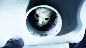 banshee-chapter-distribution-2