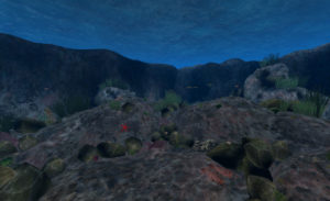 healthyreef