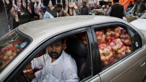 A man drives a car load of apples as merchants buy and sell wholesale vegetables in the International Fruit and Vegetable Market in Kabul, Afghanistan, Saturday August 3, 2013. Much of the produce sold in Afghanistan is imported from Pakistan or Iran. As The US prepares to pull most of it's forces out of the country by it's 2014 deadline, the threat of civil war and an unstable business climate makes many Afghans concerned about their countries future.