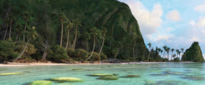 island-660x275@2x