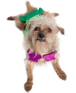 Pet-Krewe