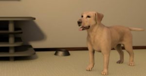 VR_dog_resize_md