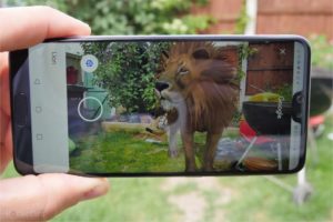 148226-ar-vr-news-google-search-results-now-include-augmented-reality-creatures-image1-bvwoqckjbe