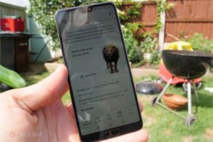 148226-ar-vr-news-google-search-results-now-include-augmented-reality-creatures-image3-ucuqof8gr3