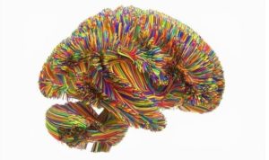 artificial-intelligence-breakthrough-could-allow-ai-to-merge-with-human-brain--5333954